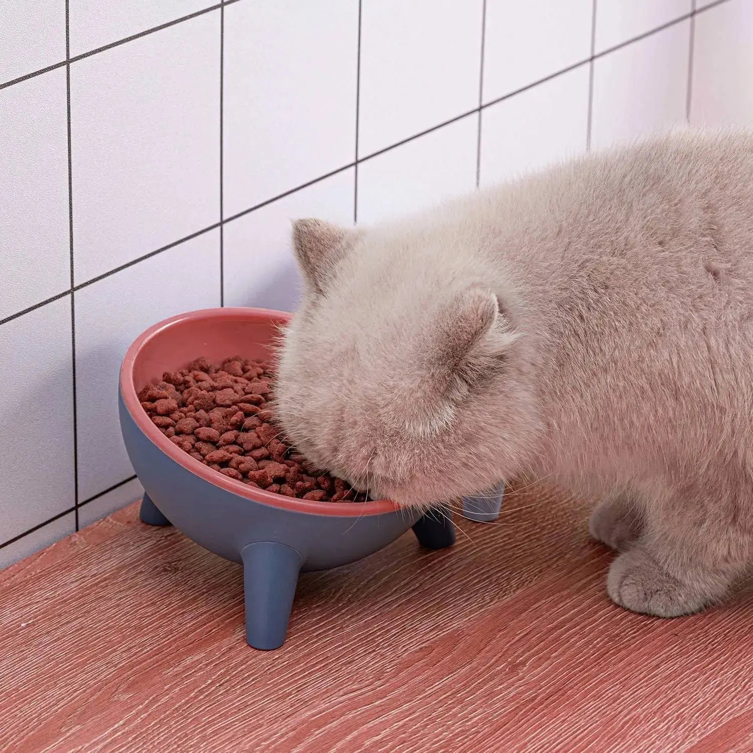 Raised Pet Bowl – Tilted Feeding Bowl for Cats & Small Dogs STTM