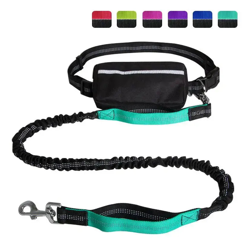 Hands-Free Leash – Bungee Dog Leash with Storage Pouch & Soft Handles STTM