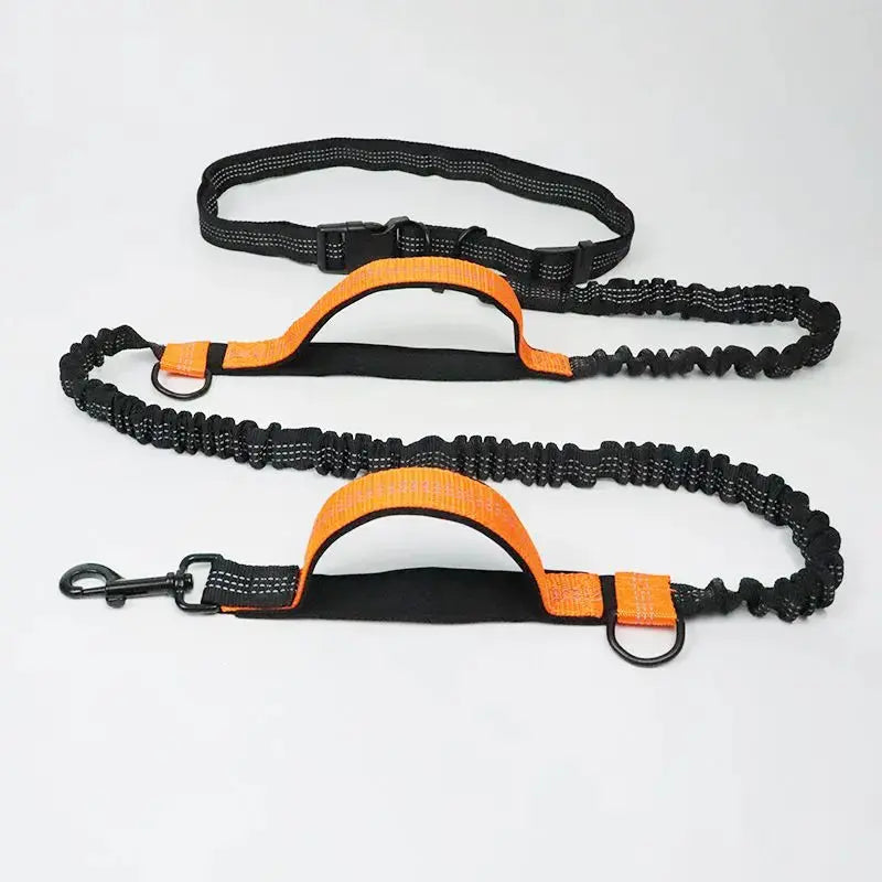 Pet Retractable Belt Leash STTM