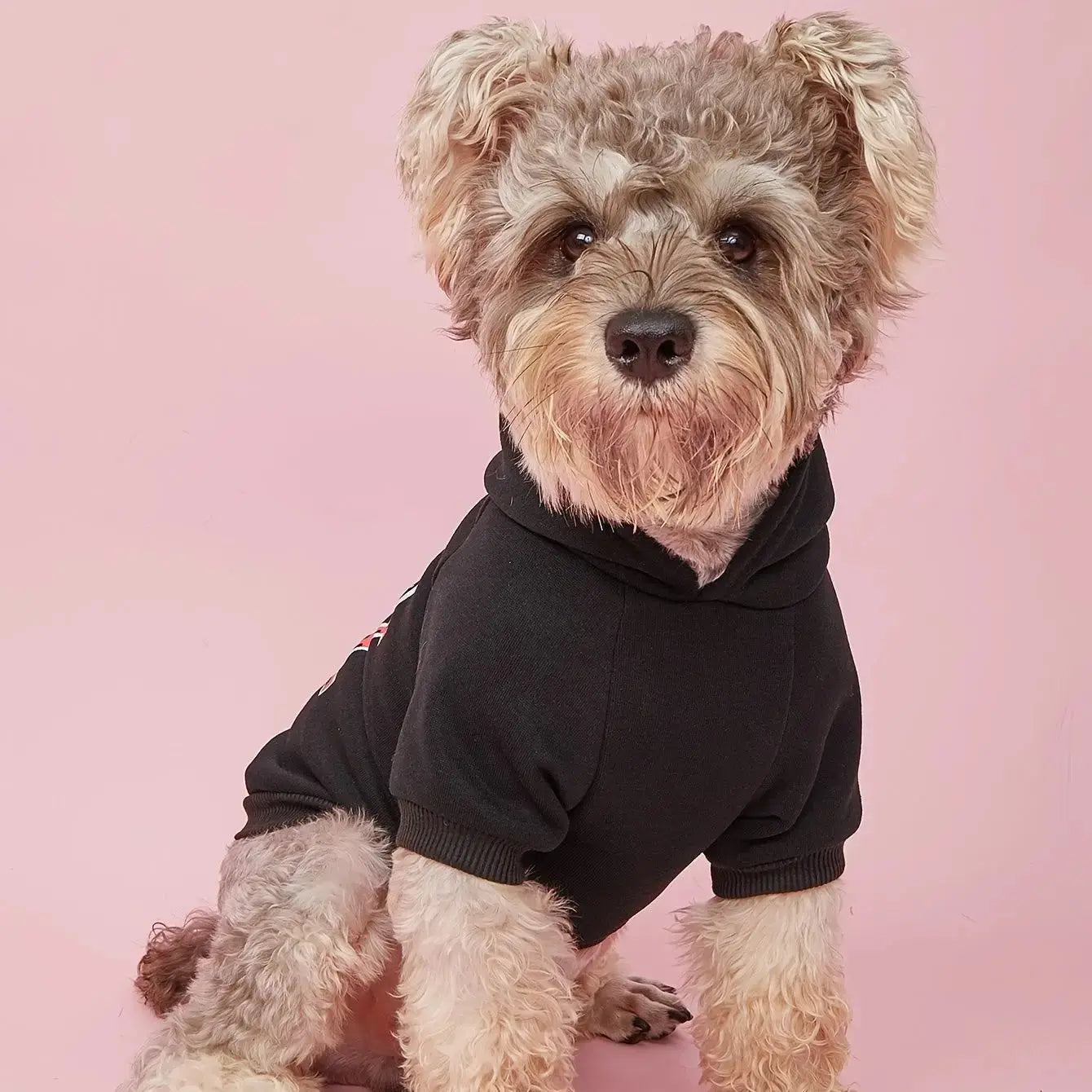 Cute Dog Hoodie – Warm Pet Apparel for Small & Medium Dogs STTM