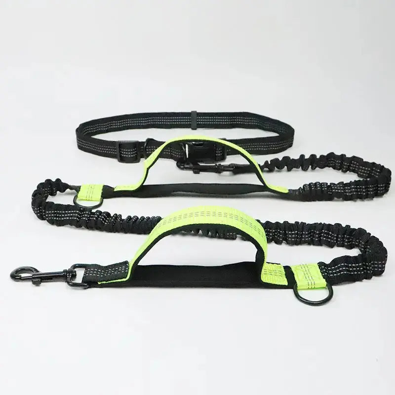 Pet Retractable Belt Leash STTM