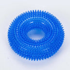 2 Pack Dog Toys – Bite-Resistant Squeaky Chew Balls