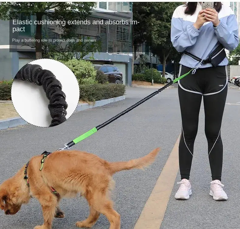 Hands-Free Leash – Bungee Dog Leash with Storage Pouch & Soft Handles STTM