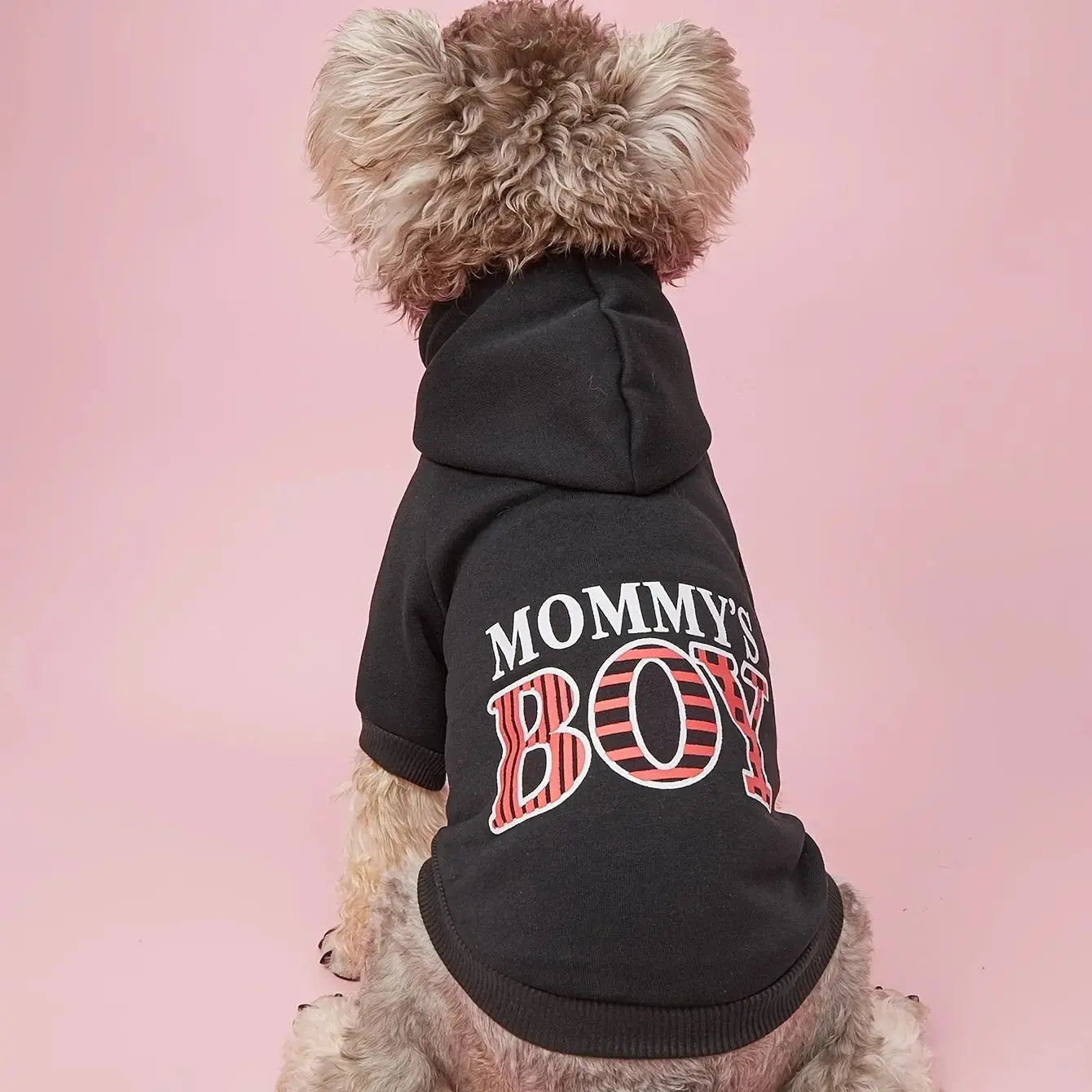 Cute Dog Hoodie – Warm Pet Apparel for Small & Medium Dogs STTM