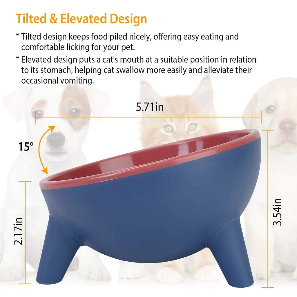 Raised Pet Bowl – Tilted Feeding Bowl for Cats & Small Dogs STTM