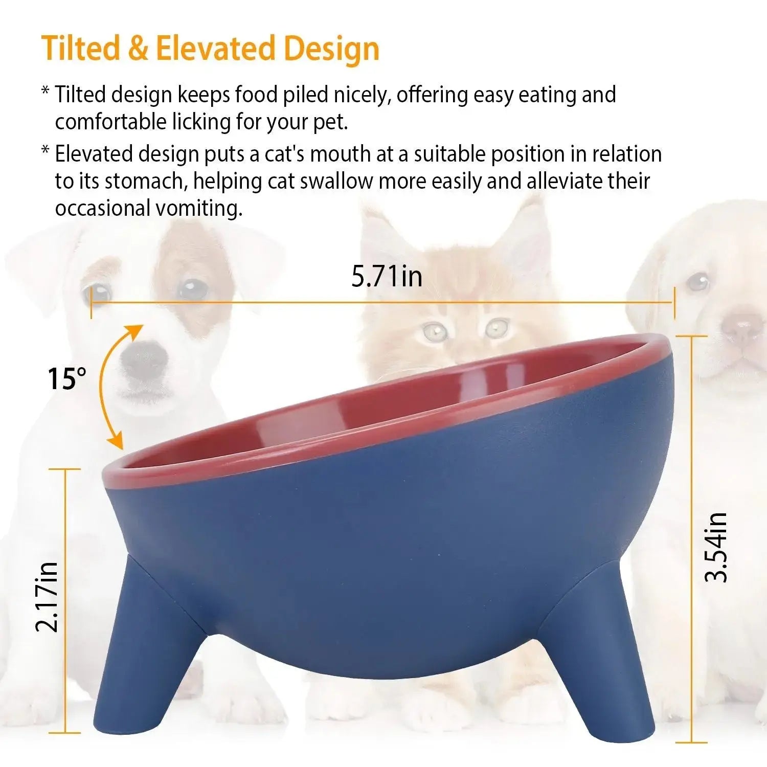 Raised Pet Bowl – Tilted Feeding Bowl for Cats & Small Dogs STTM