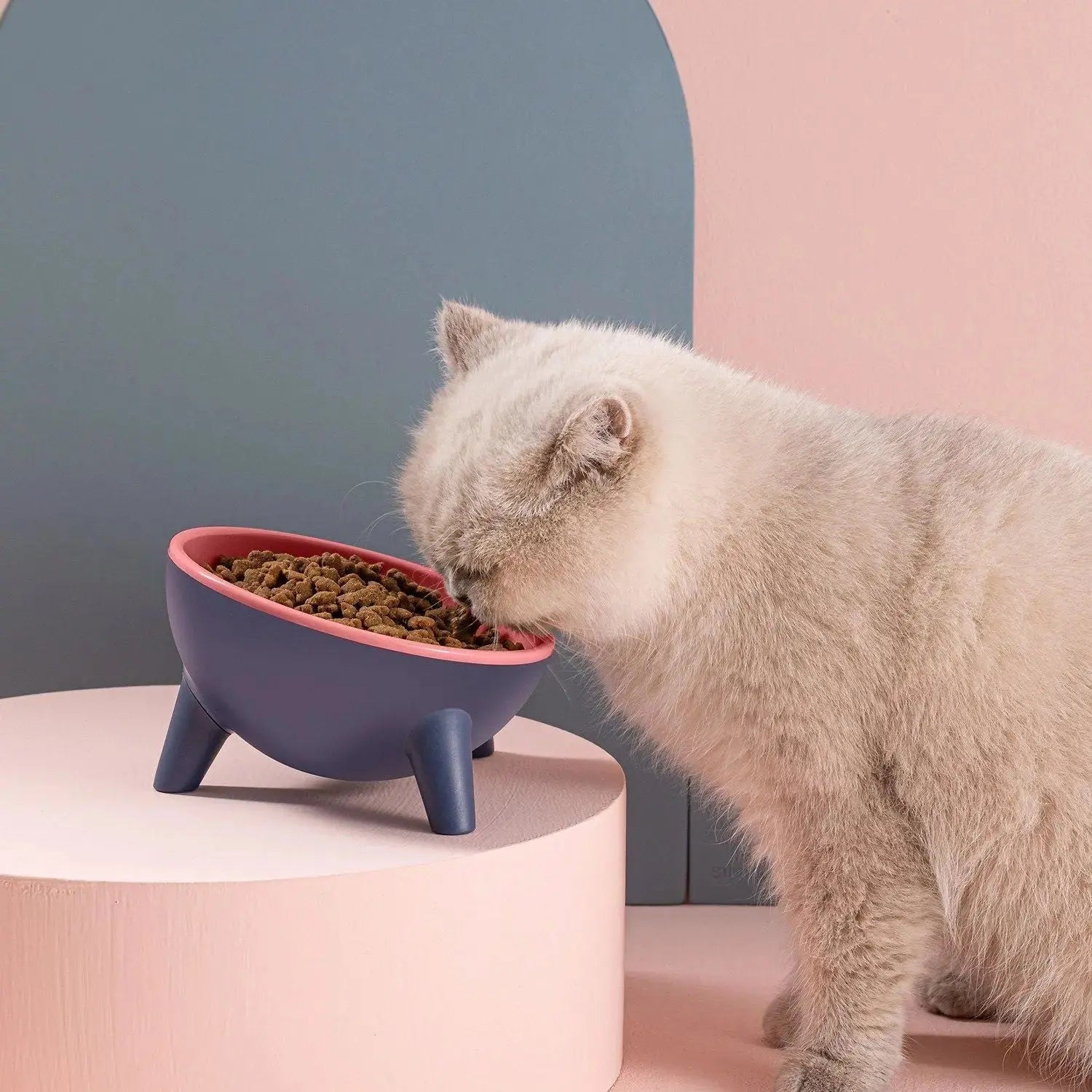 Raised Pet Bowl – Tilted Feeding Bowl for Cats & Small Dogs STTM