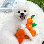 Plush Squeaky Dog Toy – Chicken Leg Chew Toy for Pets STTM