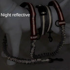Pet Retractable Belt Leash STTM