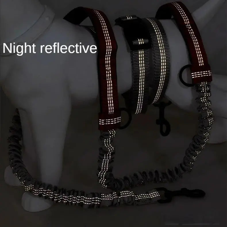 Pet Retractable Belt Leash STTM