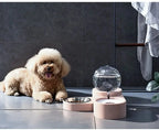 Dog & Cat Feeder – Large Auto Water Fountain with Food Bowl STTM