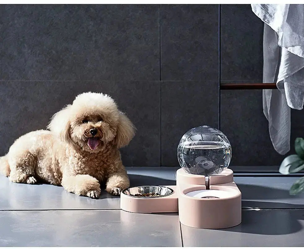 Dog & Cat Feeder – Large Auto Water Fountain with Food Bowl STTM