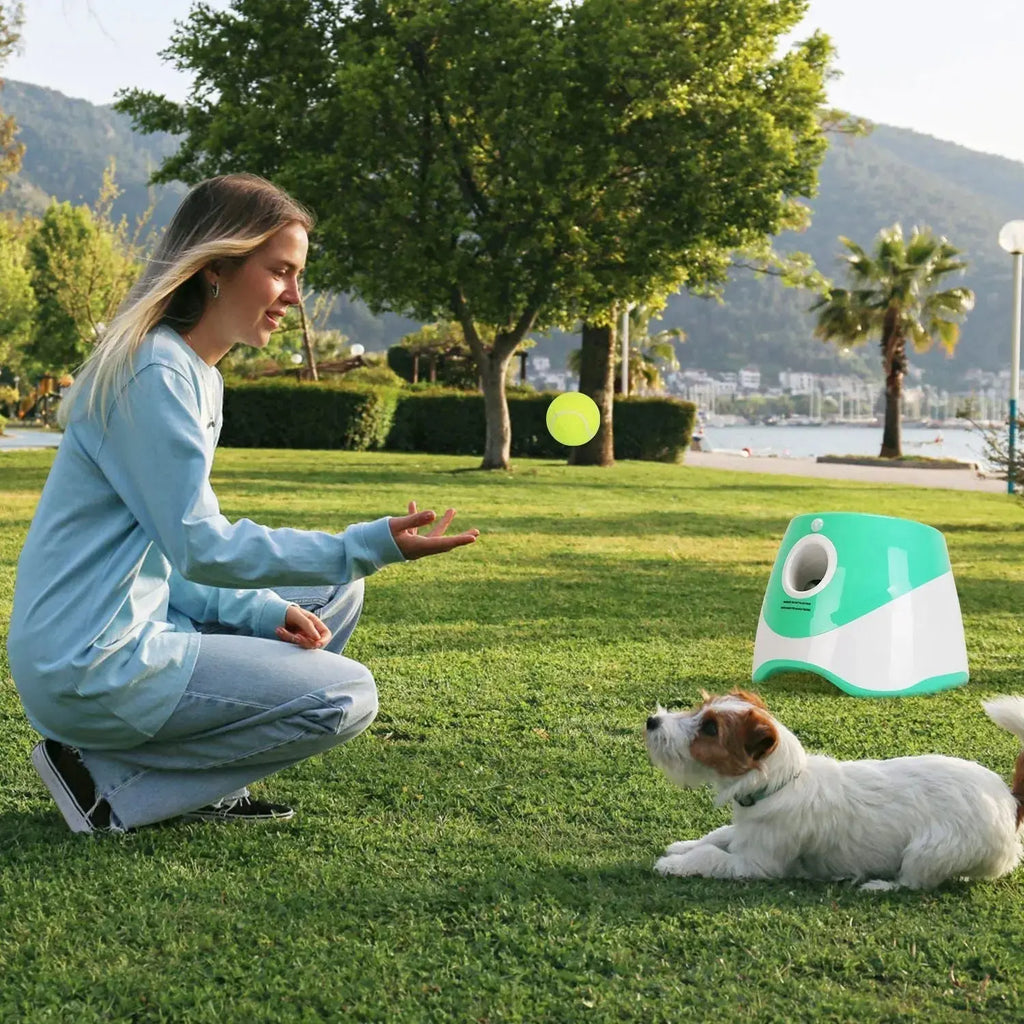 Dog Ball Launcher – Automatic Fetch Machine with Adjustable Distance STTM