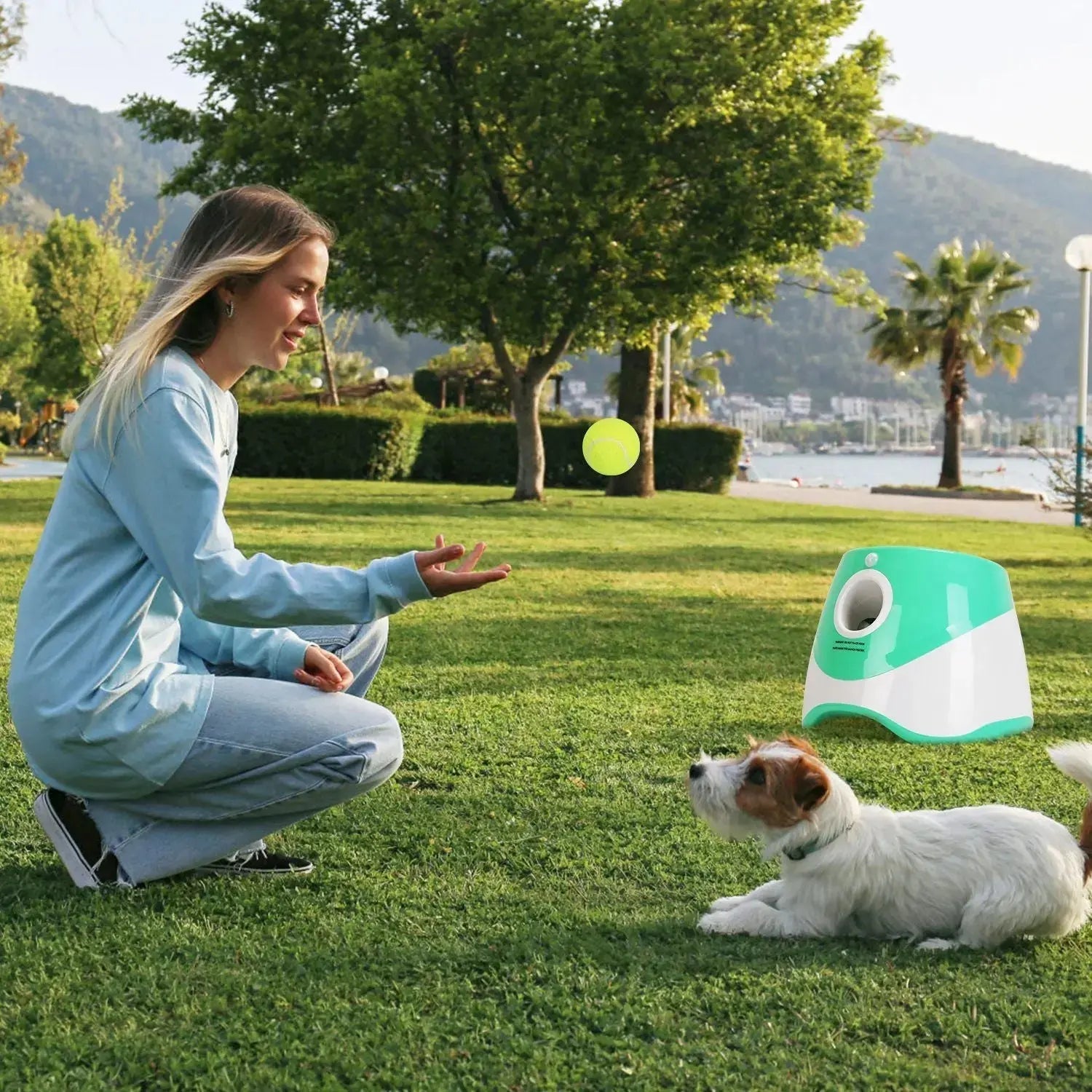 Dog Ball Launcher – Automatic Fetch Machine with Adjustable Distance STTM