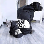 Pet Sweatshirt – Cozy Hoodie for Small & Medium Dogs STTM