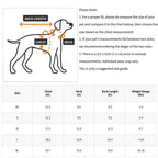Cute Dog Hoodie – Warm Pet Apparel for Small & Medium Dogs STTM
