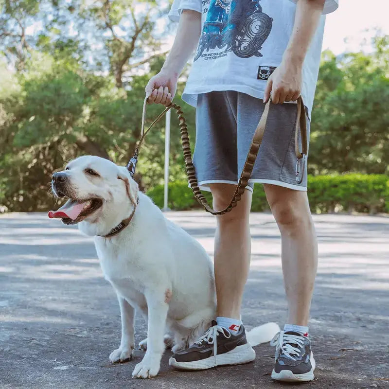Tactical K9 Leash – Heavy Duty Adjustable Bungee STTM