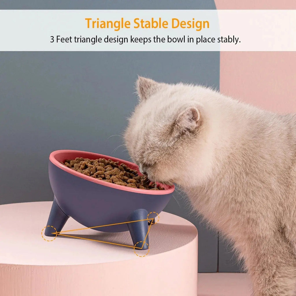 Raised Pet Bowl – Tilted Feeding Bowl for Cats & Small Dogs STTM