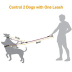 Dual Dog Leash – No-Tangle Reflective Leash with Padded Handle STTM