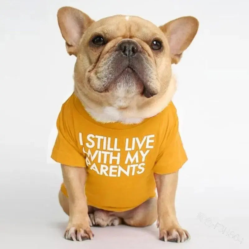 Pet T-Shirt – Soft Dog Shirt for Small & Medium Dogs STTM