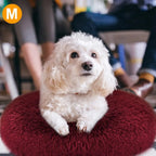 Soft Fleece Pet Bed – Warm Cozy Nest for Dogs & Cats STTM