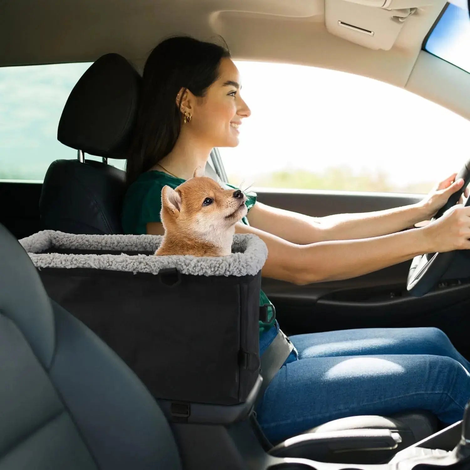 Small Pet Car Seat – Cozy Console Booster for Dogs & Cats STTM