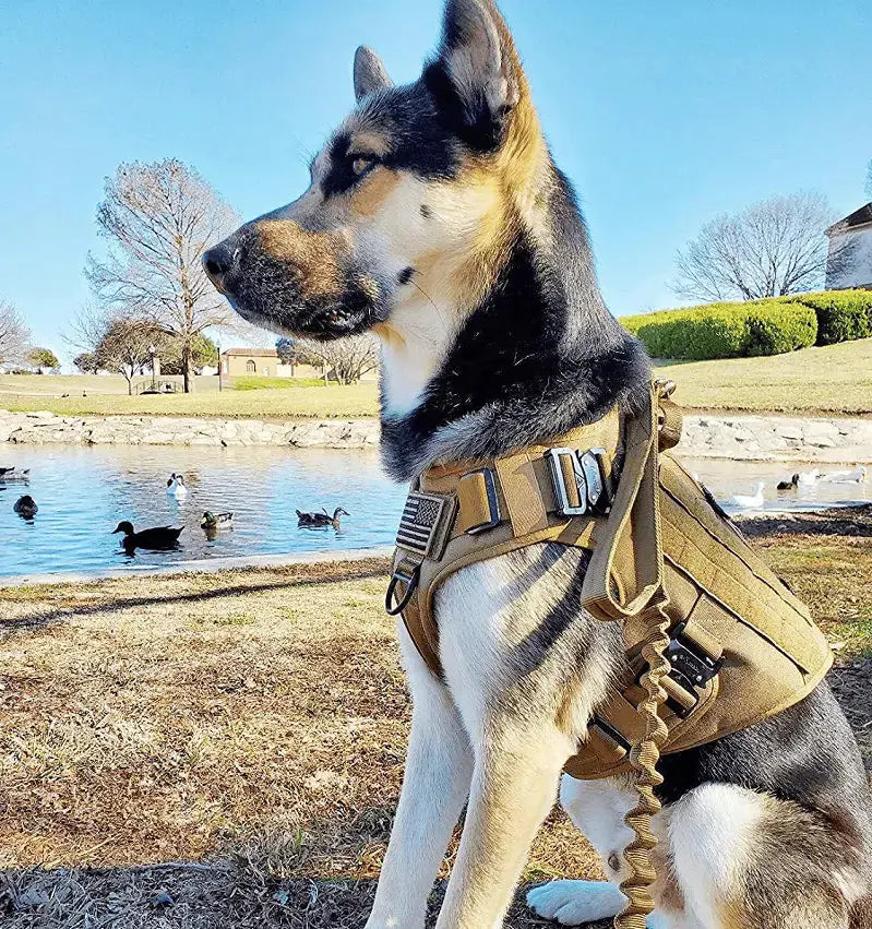 Tactical K9 Leash – Heavy Duty Adjustable Bungee STTM