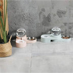 Dog & Cat Feeder – Large Auto Water Fountain with Food Bowl STTM