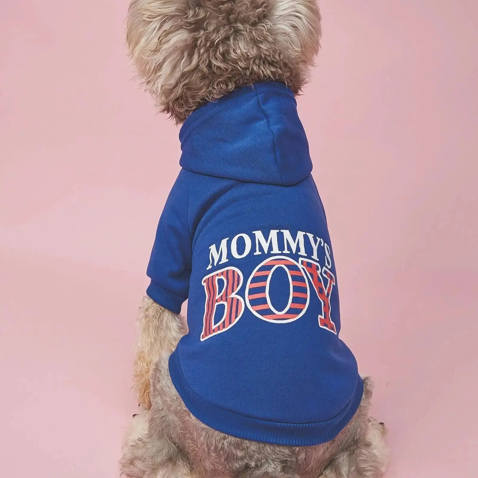 Cute Dog Hoodie – Warm Pet Apparel for Small & Medium Dogs STTM