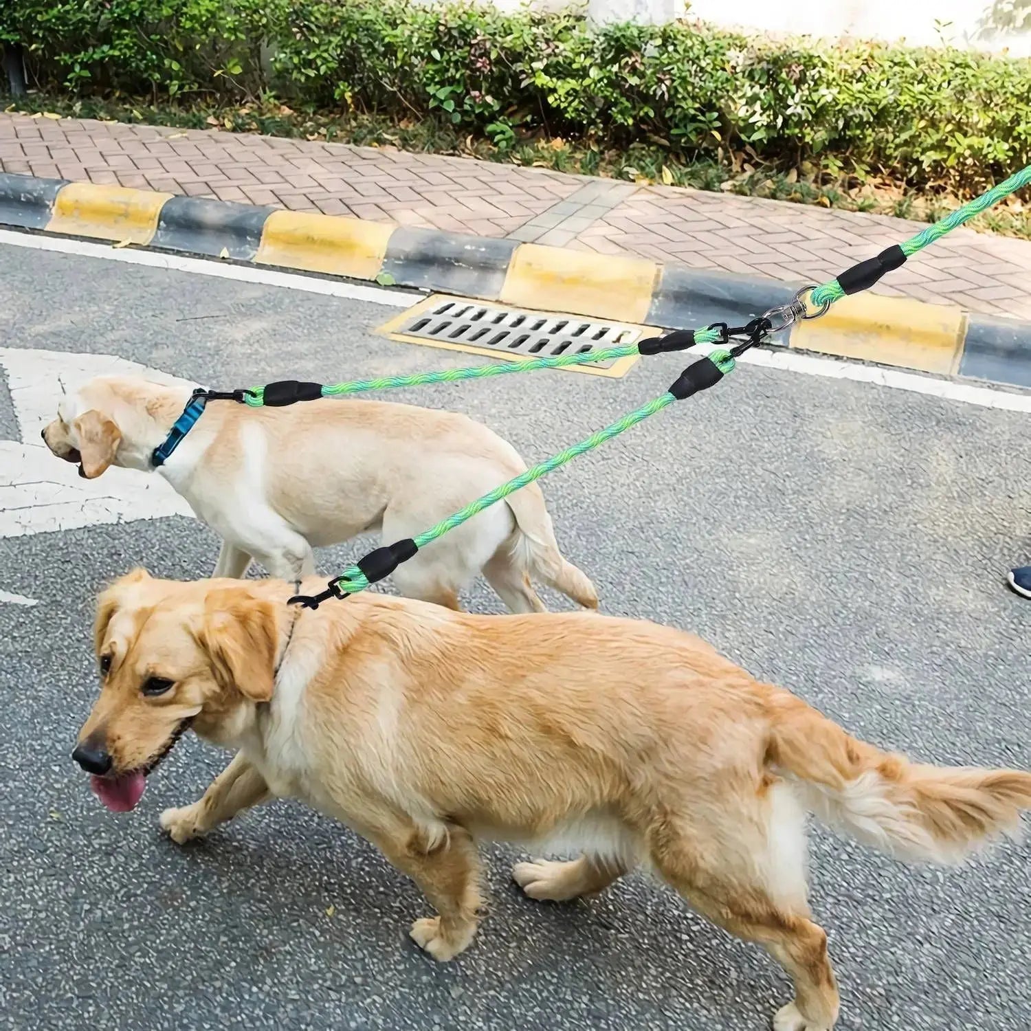 Dual Dog Leash – No-Tangle Reflective Leash with Padded Handle STTM