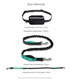 Hands-Free Leash – Bungee Dog Leash with Storage Pouch & Soft Handles STTM