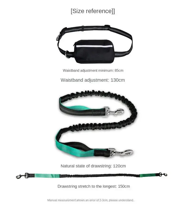 Hands-Free Leash – Bungee Dog Leash with Storage Pouch & Soft Handles STTM