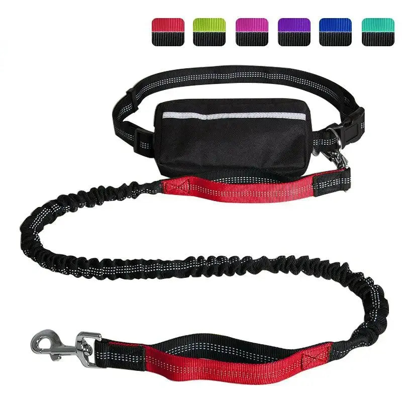 Hands-Free Leash – Bungee Dog Leash with Storage Pouch & Soft Handles STTM