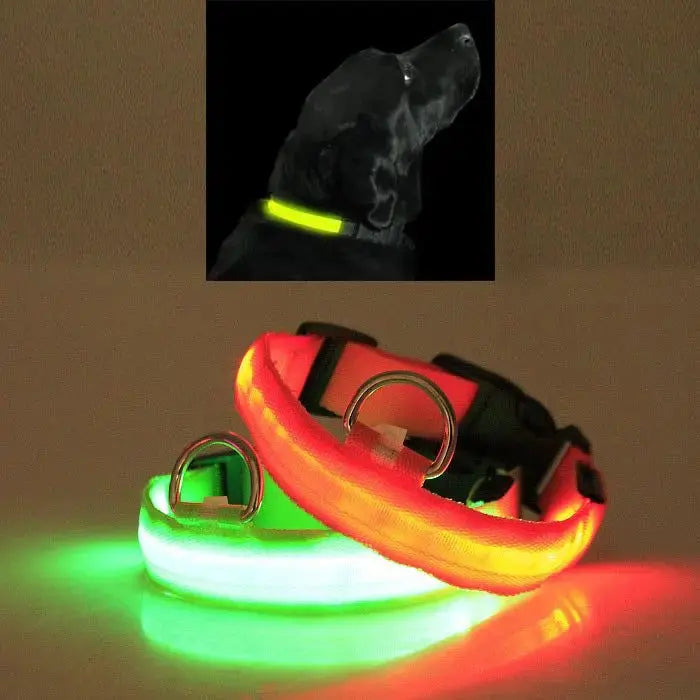 Glow Dog Collar – LED Safety Collar for Night Visibility STTM