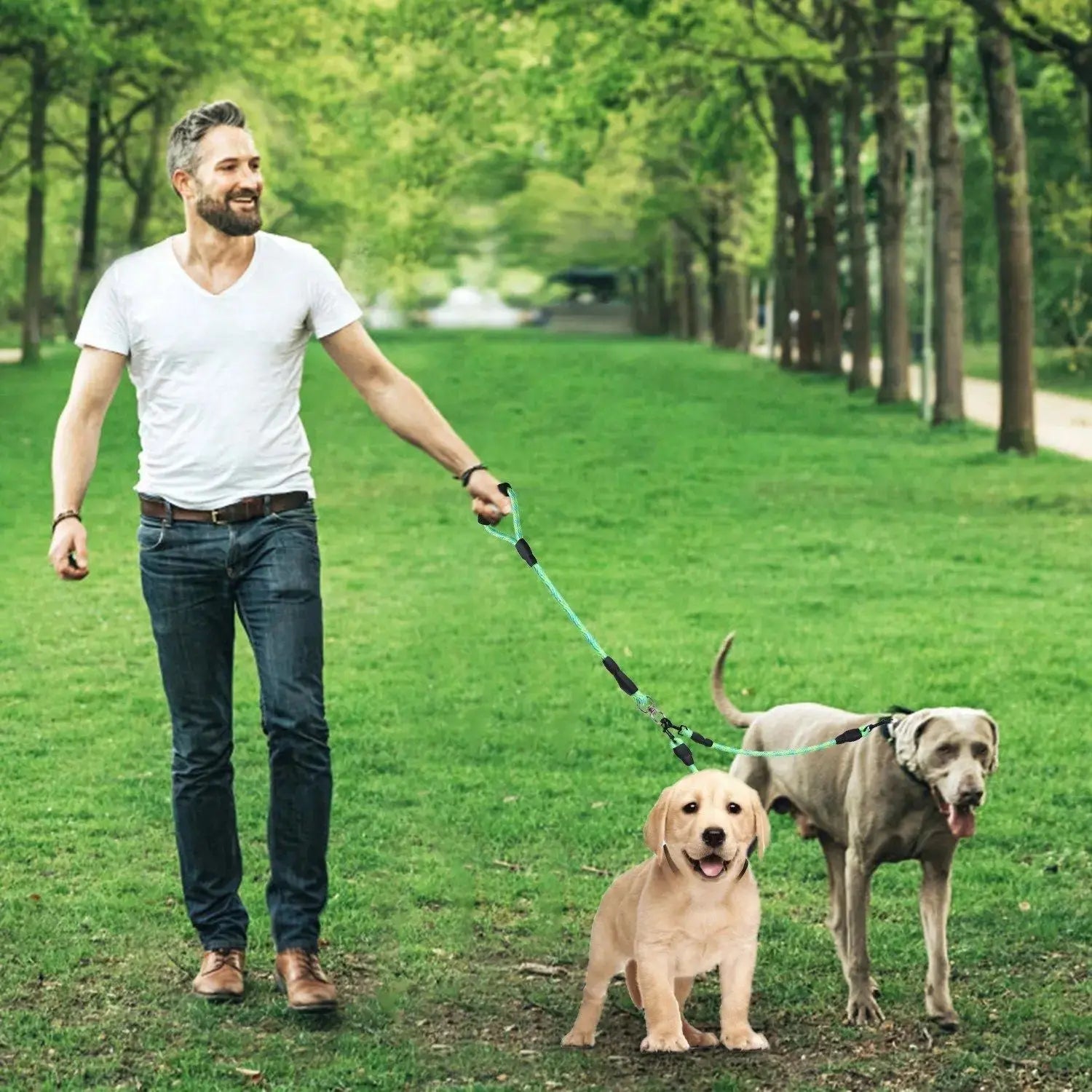 Dual Dog Leash – No-Tangle Reflective Leash with Padded Handle STTM