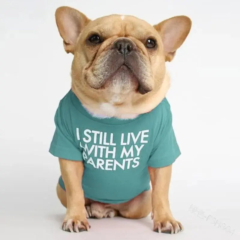 Pet T-Shirt – Soft Dog Shirt for Small & Medium Dogs STTM