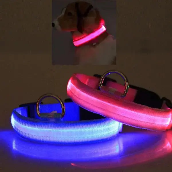 Glow Dog Collar – LED Safety Collar for Night Visibility STTM