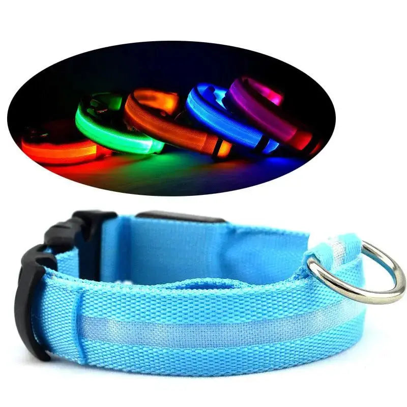 Glow Dog Collar – LED Safety Collar for Night Visibility STTM