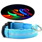 Glow Dog Collar – LED Safety Collar for Night Visibility STTM