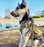 Tactical K9 Leash – Heavy Duty Adjustable Bungee