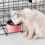 Hanging Dog & Cat Bowl – Stainless Steel Cage Feeding Bowl STTM