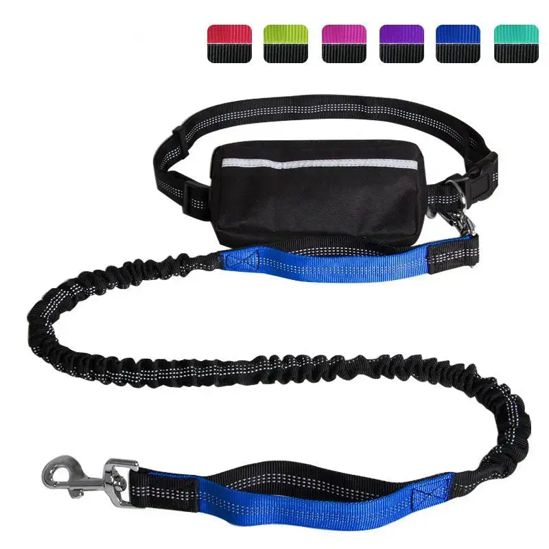 Hands-Free Leash – Bungee Dog Leash with Storage Pouch & Soft Handles STTM