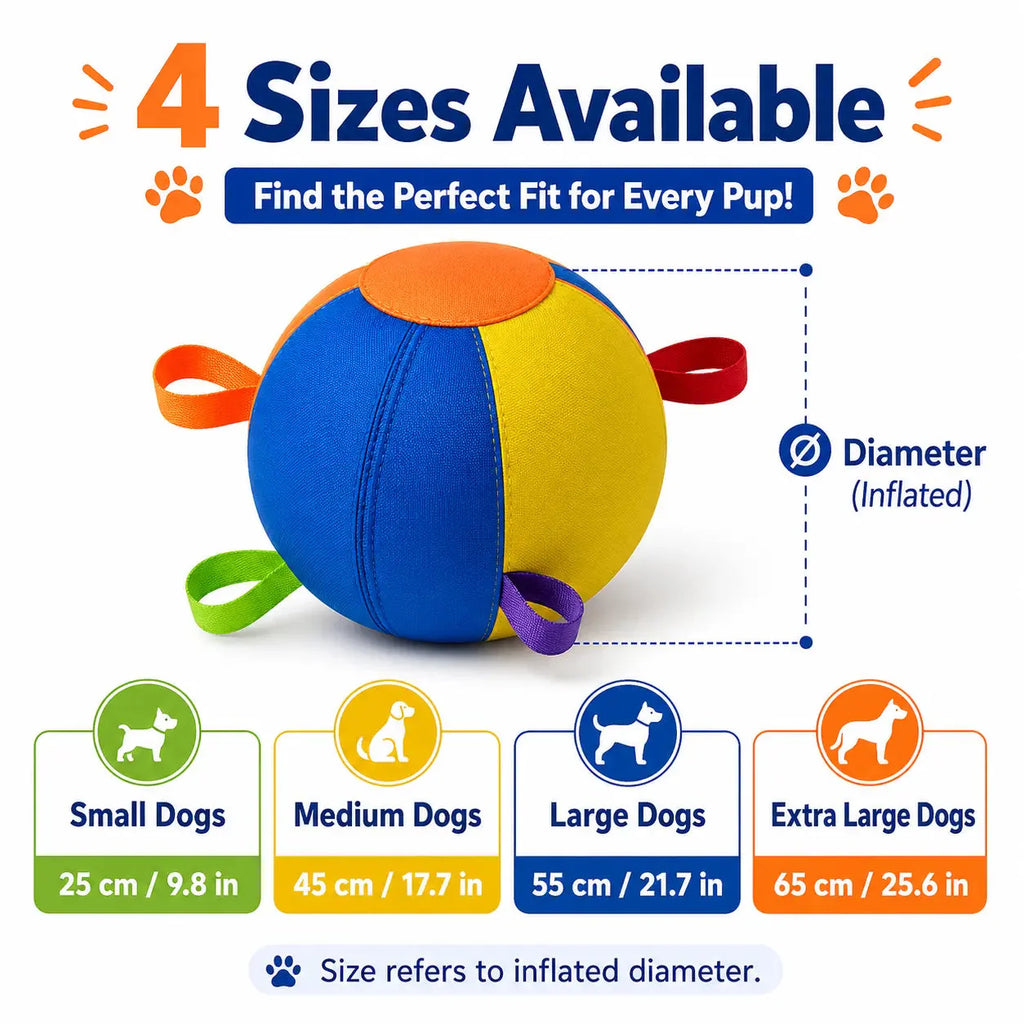 Dog Herding Ball with Handles & Pump
