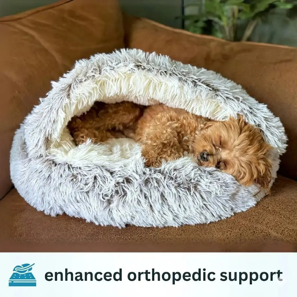 Calming Cowry Pet Bed – Cozy Anti-Anxiety Dog & Cat Bed Fursera