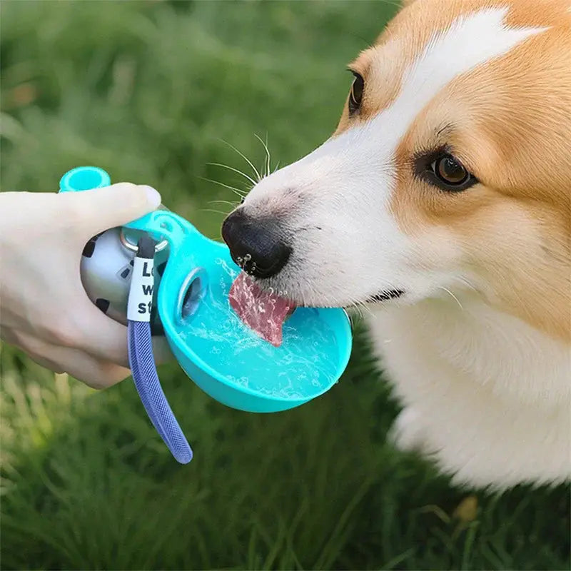 Portable Dog Water Bottle – Leak-Proof Travel Bottle with Bowl