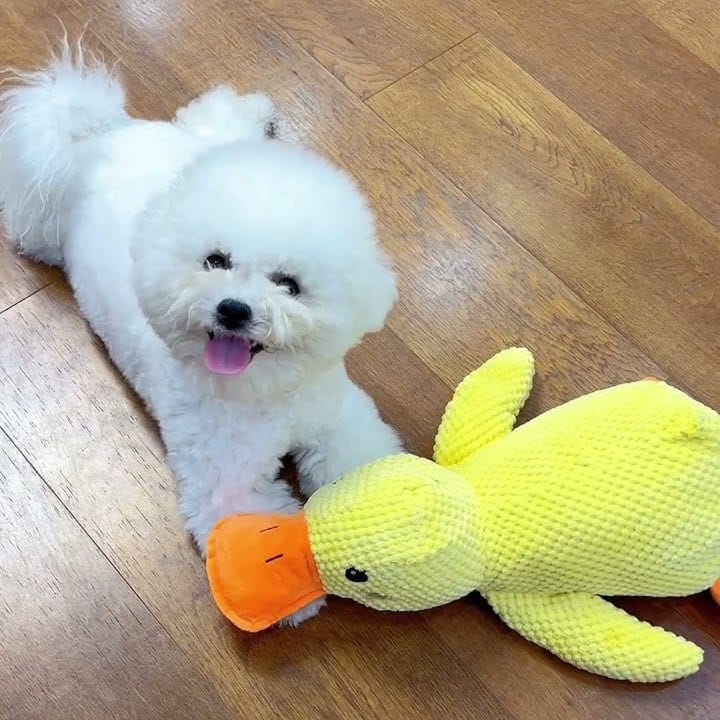 Calming Duck Toy