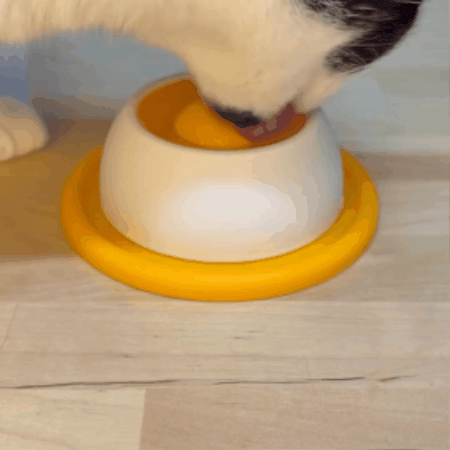 Slow Feeder Dog Bowl for Liquid Treats Non-Slip & Easy Clean