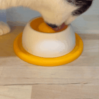 Slow Feeder Dog Bowl for Liquid Treats Non-Slip & Easy Clean