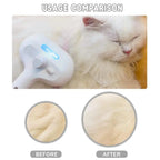 2 in 1 Pet Spray Hair Removal Comb Fursera