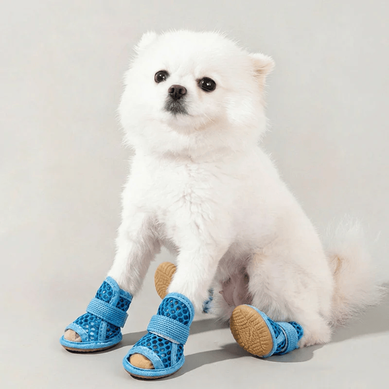 Breathable Mesh Summer Dog Sandals